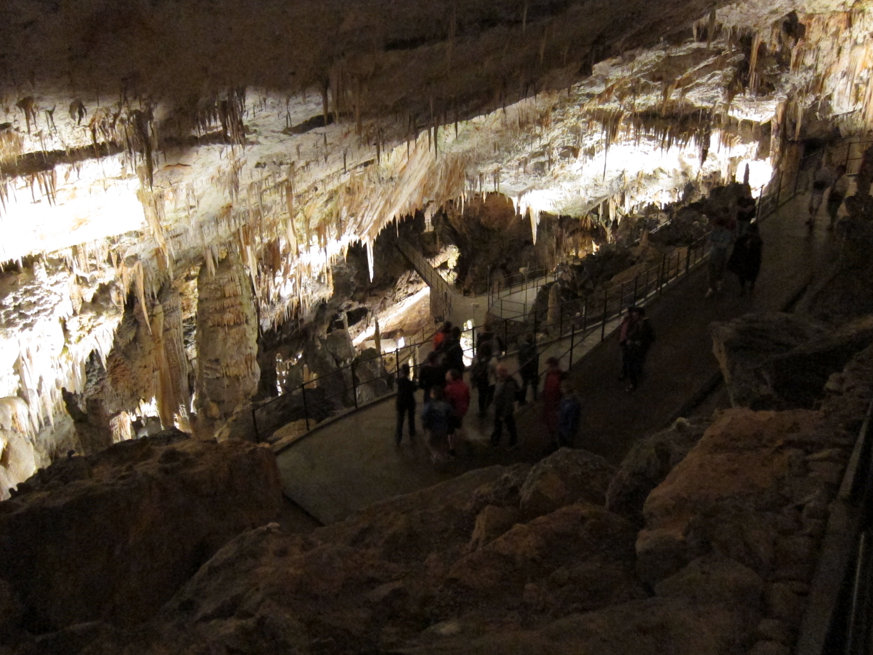 Looking down at paved pathways winding through a large cavern covered in stalactites in the Postojna caves.