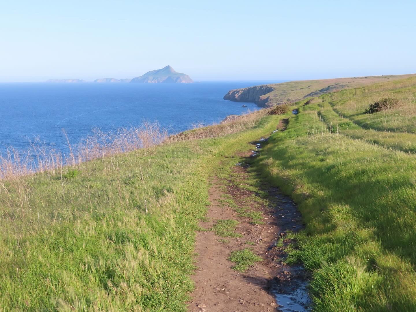 Looking from Santa Cruz Island to Anacapa Island in the distance.