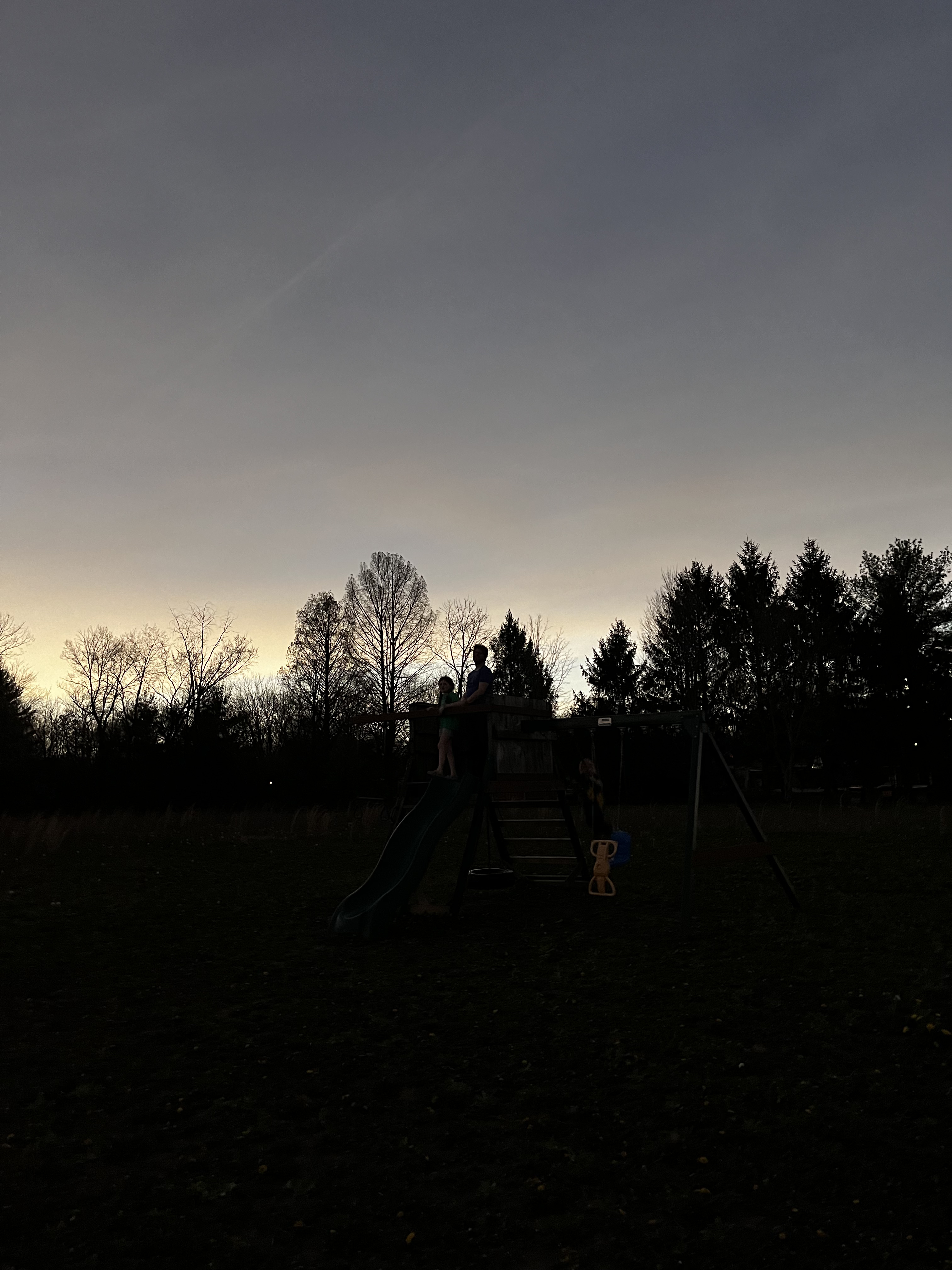 Silhouettes of trees and shadowy figures on a play structure in the middle of totality.