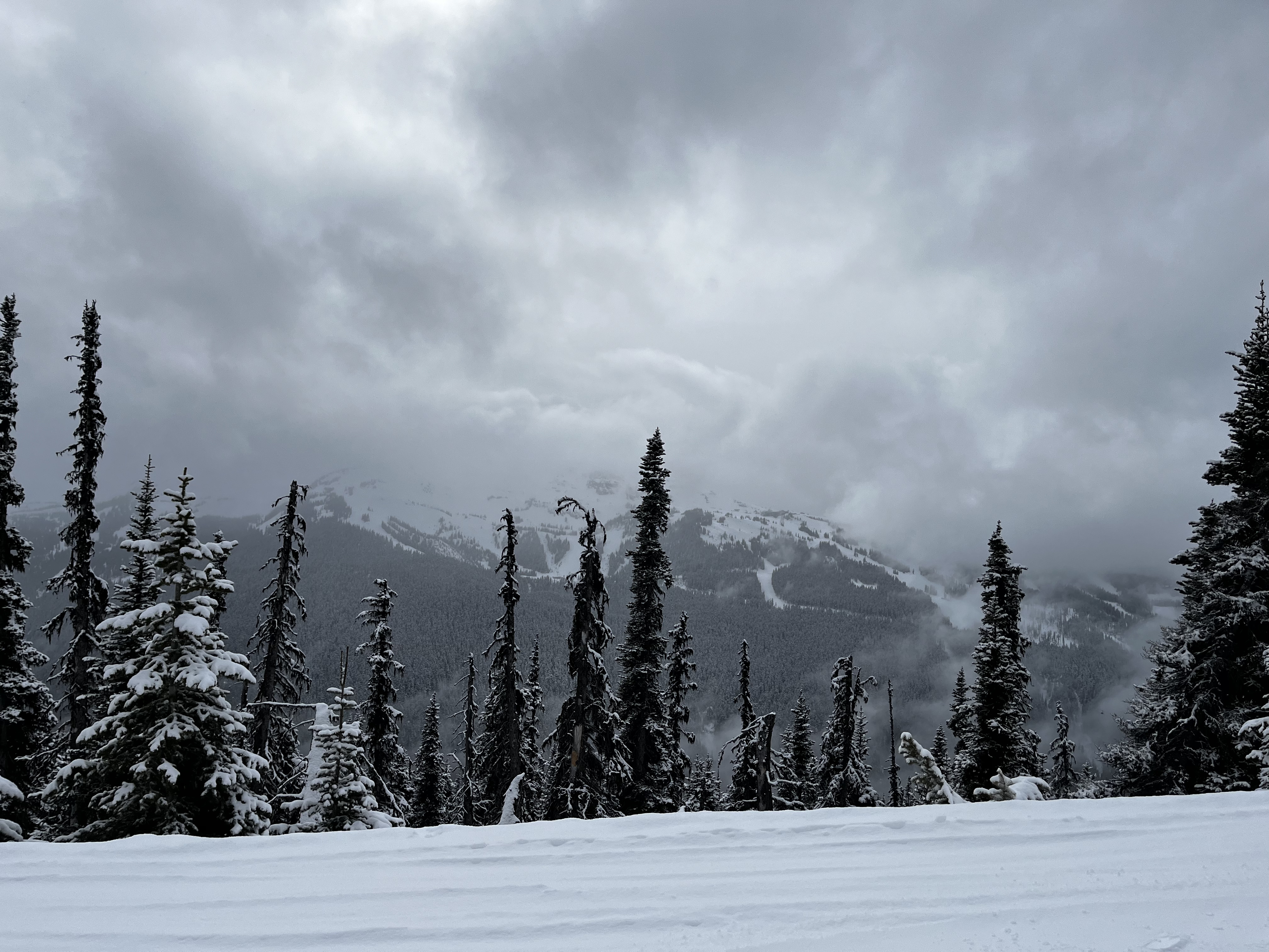 Cloudy snowy peaks from a trail in Whistler.