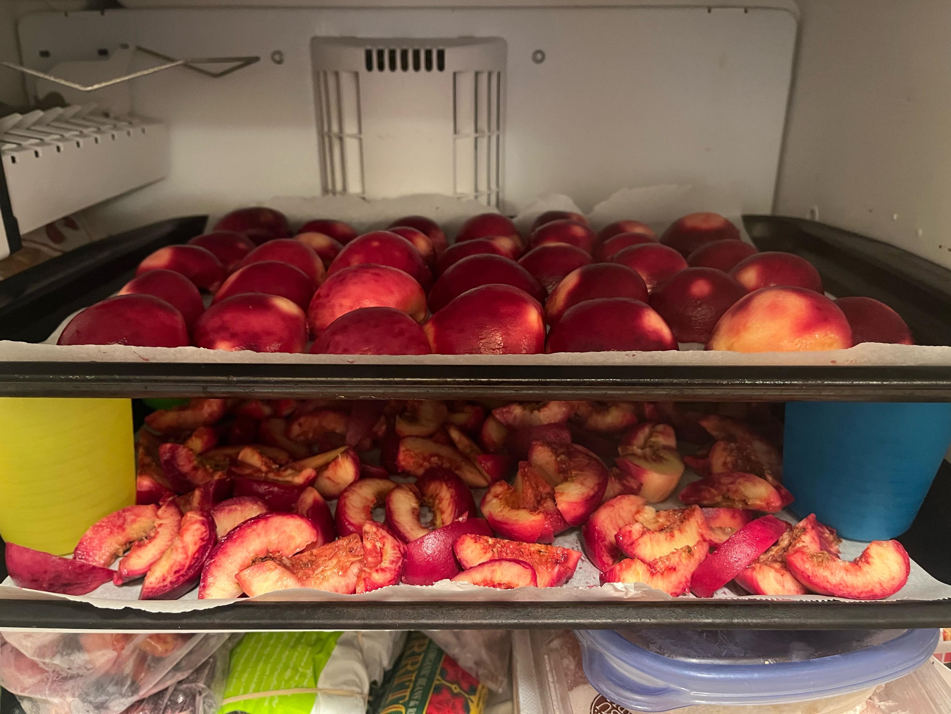 Two cookie sheet trays in a freezer with peaches on them: peeled half peaches on top and peach slices in the bottom