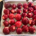 Peach Processing Project
