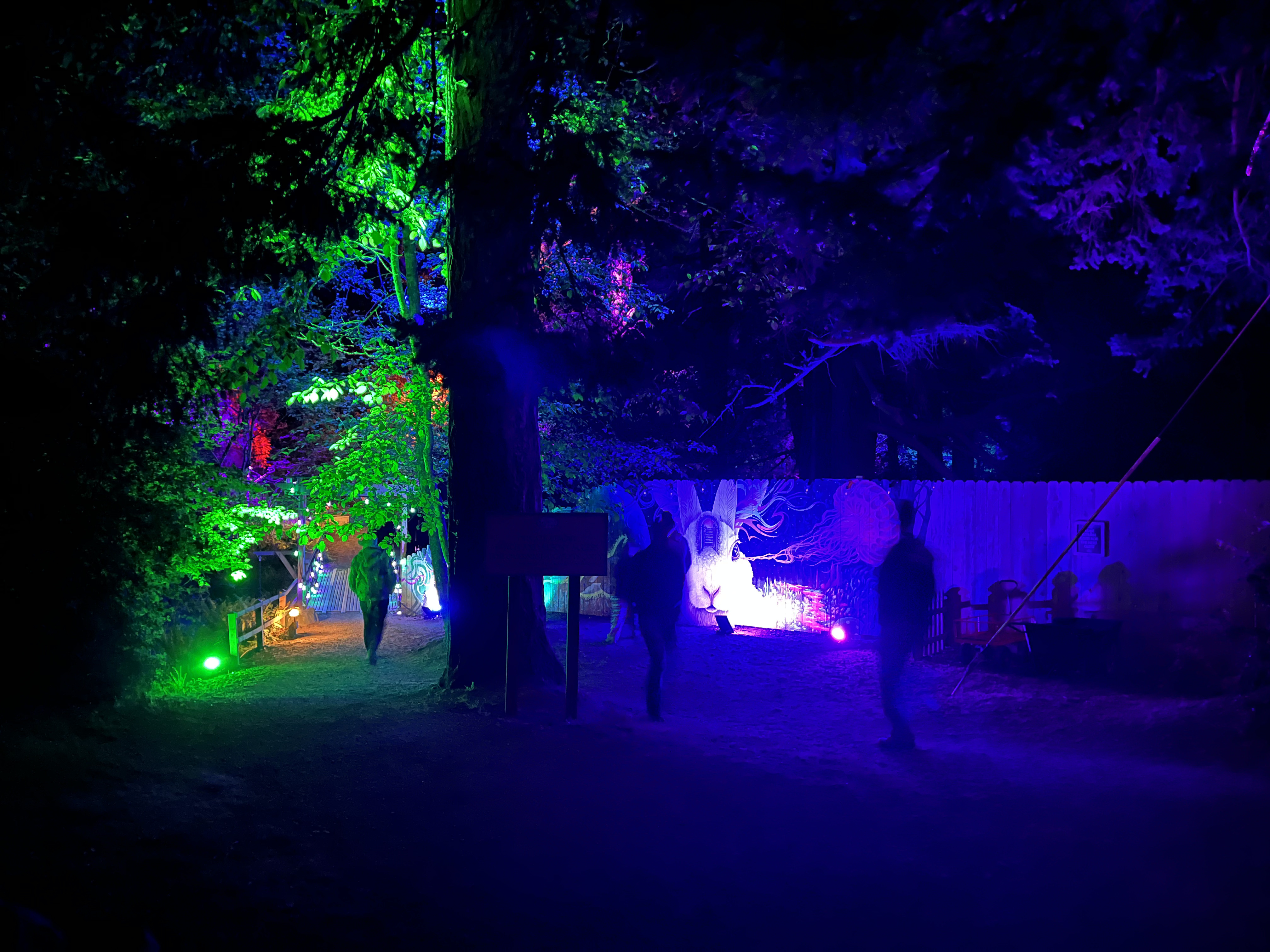 The paths between camp neighborhoods lit up at night